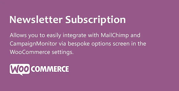 Newsletter Subscription nulled plugin