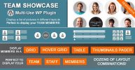 Team Showcase nulled plugin